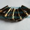 334 Common Rail Contro...