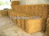 Palm Fibre