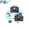 Chinese Ball Screw End...