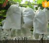 China pp non woven pol...