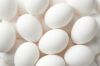 Shell Egg