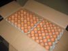 Fresh Table Eggs , Fresh Farm Eggs , Fresh Chicken Table Eggs ,Poultry Table Eggs
