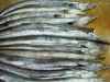  FROZEN Conger Eel Fis...