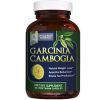 Garcinia Cambogia Extract Pure