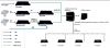 OTT and IPTV system fo...