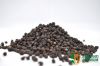 Black Pepper