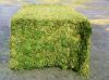 High Quality Alfalfa Hay for Animal Feed