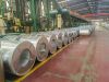 DIN BS Z30-275 Standard Galvanized Steel Coil