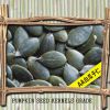 Pumpkin seed kernels