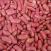 Red Kidney Bean