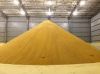 Dried Distillers Grain...