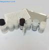 Sulfonamides (SAs15) E...