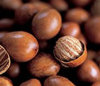 Shea Nuts, Roasted Nuts, Blended Nuts