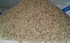 Floating Fish Feed
