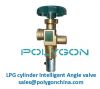 LPG cylinder valve