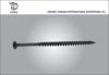 Screw Manufacturer/Black Phosphate Phillips Bugle Head Drywall Screw/Gypsum Board Screw