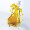 Rapeseed oil Ukraine