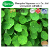 Gotu kola extract/Centella asiatica powder/High quality 40%Asiaticosides gotu kola extract powder