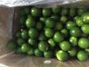 Fresh Seedless Lime