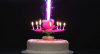 fireworks lotus music birthday candle