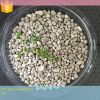 Agriculture grade triple super phosphate fertilizer TSP