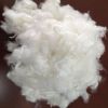 Polyester Staple Fiber