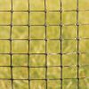 Deer Fence net /Plastic Deer Netting