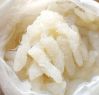Jelly fish   (Rhopilem...