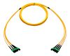 MTP/MPO Trunk Cable Assemblies