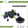 Spray Dried Fruit Powder Freeze Dry Acai berry Powder powerful Antioxidant powder Acai Berry Extract