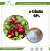 Skin Care Bearberry Extract Pure Alpha Arbutin powder for skin whitening