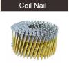 Coil nails