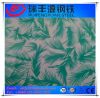 Color Coated Galvanized Steel Sheet in Coil/Ppgi from China