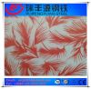 Color Coated Galvanized Steel Sheet in Coil/Ppgi from China