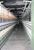 rieter ring spinning p...