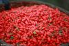 2016 New Crop Goji Berry From Ningxia