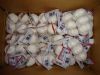 2016 new fresh white garlic at cheap price