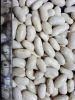 good quality canned white kidney bean in tin