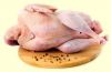 fresh frozen halal turkey meat