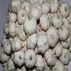 High Quality Pure White Garlic