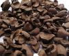 Low Level Ash Palm Kernel Shells PKS