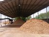 Rubber  wood  chips