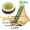 Eurycoma Longifolia Extract