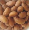 Bitter Kola Garcinia Kola