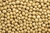Soya beans