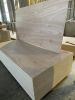 18mm Bintangor commercial plywood cheap plywood