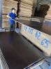 Full hardwood core film faced plywood / Hardwood plywood for construction