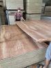 Bintangor face Commercial plywood for making sofa