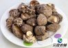 Edible Organic Shiitake Mushroom