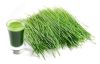 Organic Wheat Grass Powder